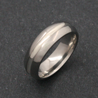 Titanium Ring - Silver Taharqa